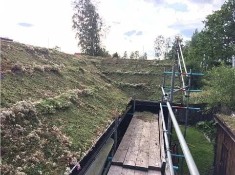 Sedumtak, grönt tak